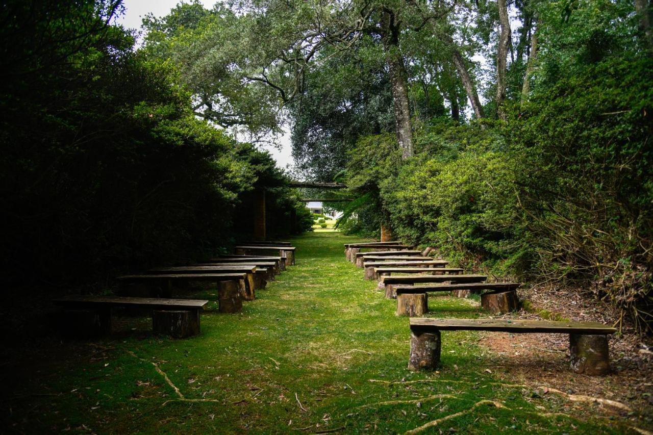The Knoll Historic Guest Farm Villa Hilton Ngoại thất bức ảnh