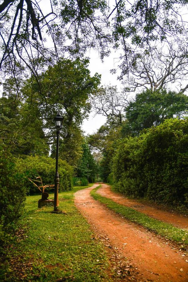 The Knoll Historic Guest Farm Villa Hilton Ngoại thất bức ảnh