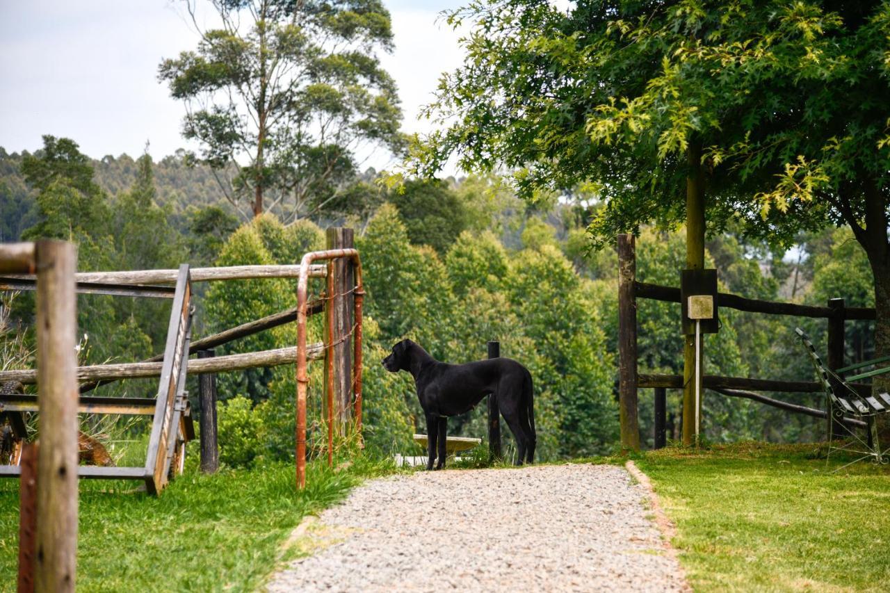 The Knoll Historic Guest Farm Villa Hilton Ngoại thất bức ảnh