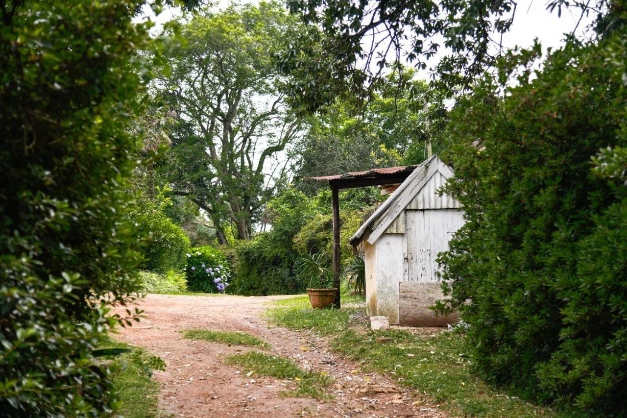 The Knoll Historic Guest Farm Villa Hilton Ngoại thất bức ảnh