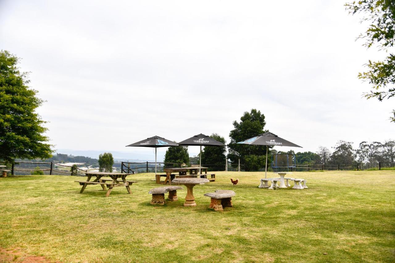 The Knoll Historic Guest Farm Villa Hilton Ngoại thất bức ảnh