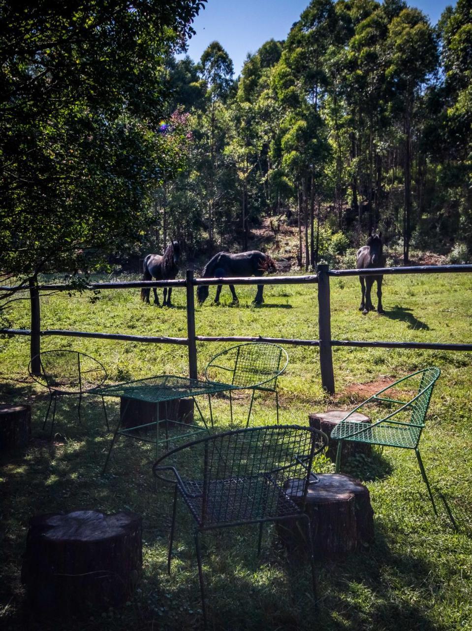 The Knoll Historic Guest Farm Villa Hilton Ngoại thất bức ảnh